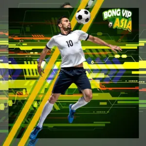 the-thao-bongvip